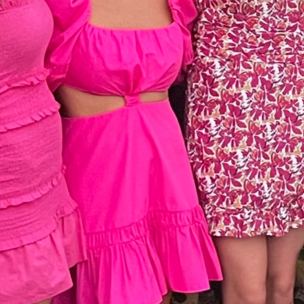 Size M - Magenta Bertana Short Dress, purchased off Tuckernuck
